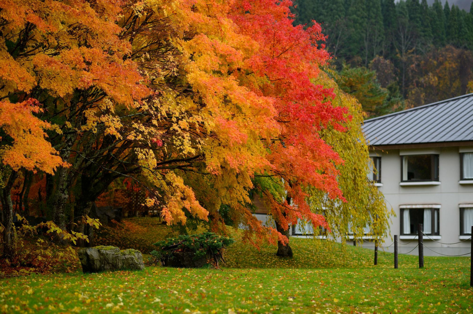 Towada Prince Hotel Kosaka Bagian luar foto